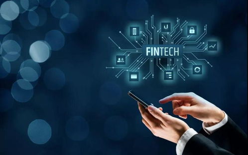 掌閱科技連板背后的力量 信息技術(shù)咨詢服務(wù)的崛起與資本市場(chǎng)的熱捧