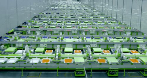 馬建榮與申洲國際 以熱愛為引擎，智造全球服飾“世界工廠”